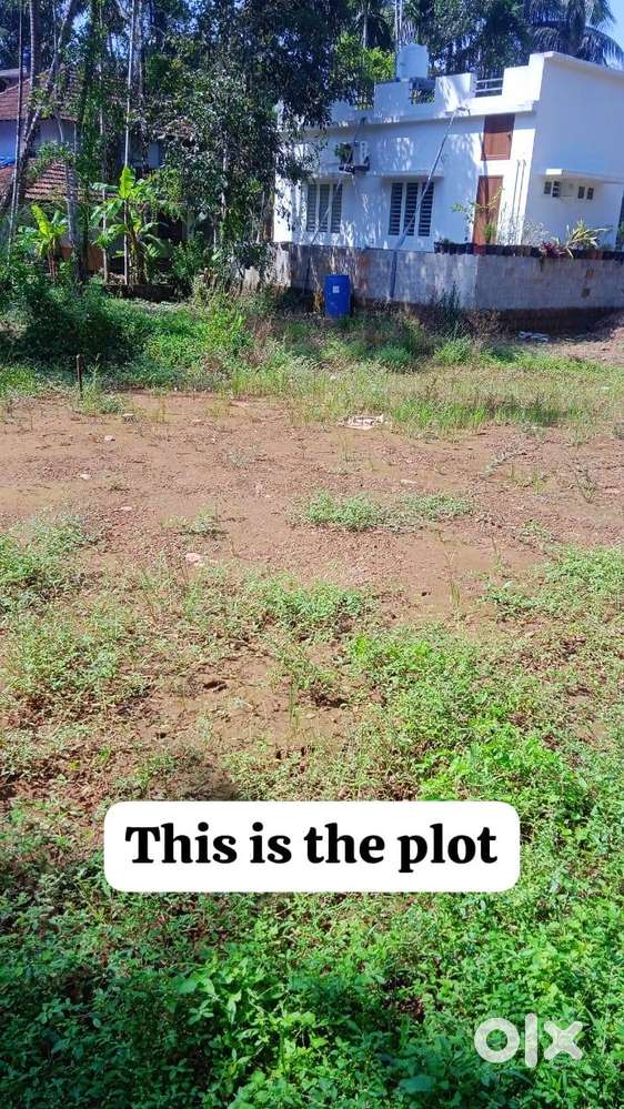 Near Thalassery town