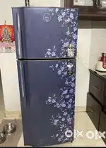 Godrej Double door