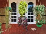 House for Rent at Kurkanchery Thrissur. 17000 per Month