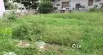 TS plot for sale