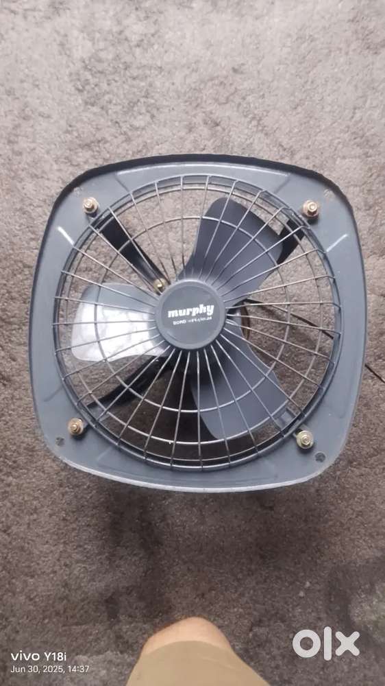 Morphy exzox fan