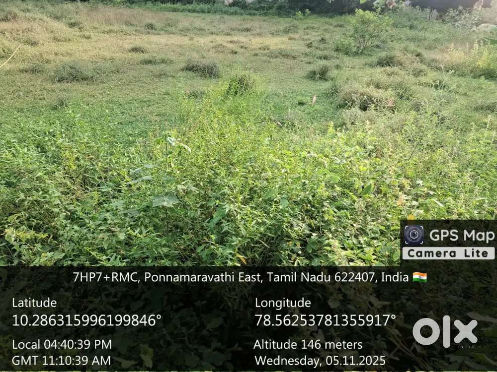 Must driving license Driver