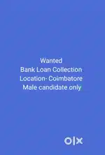 Collection Executive