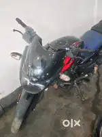 Pulsar 125 bs 6 2024 model fresh New condition
