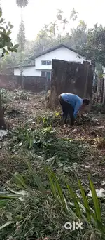 Basundhara 3 Survayed land