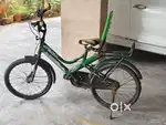 Passion green cycle