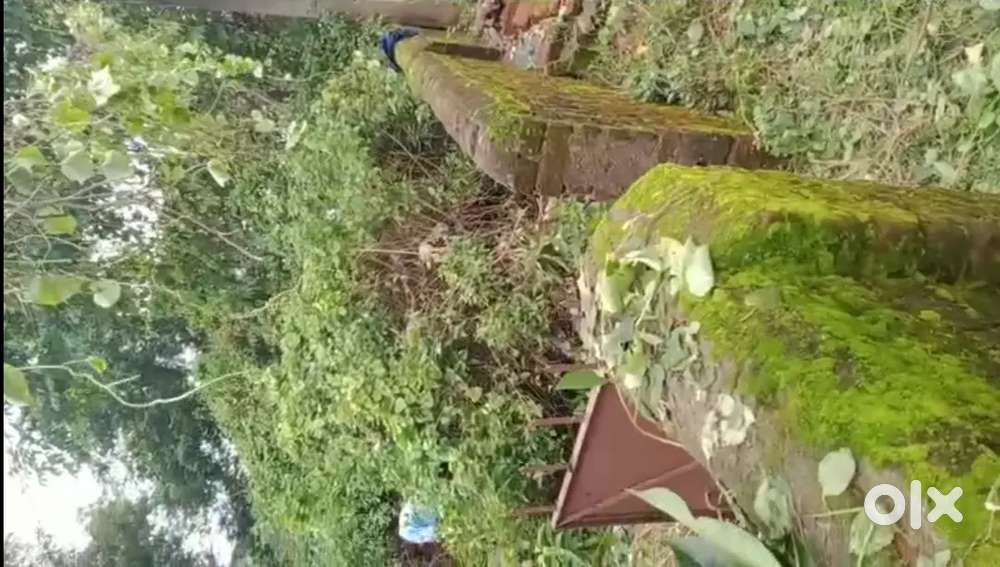 Plot On Sale Near Utsav Resort