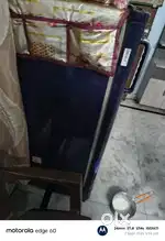Freeze  single