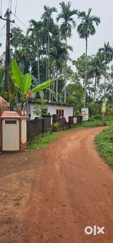 Land for sale in Cheriyanad, Chengannur