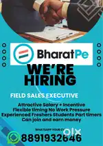 BharatPe Field sales Executive