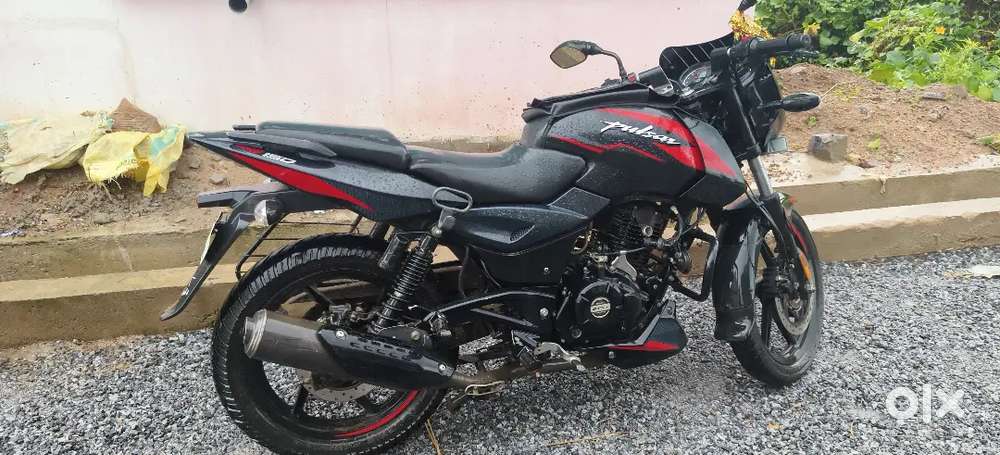 The beast - pulsar 150