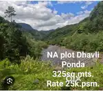 NA plot Dhavli Ponda