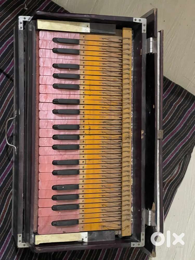 Harmonium !!
