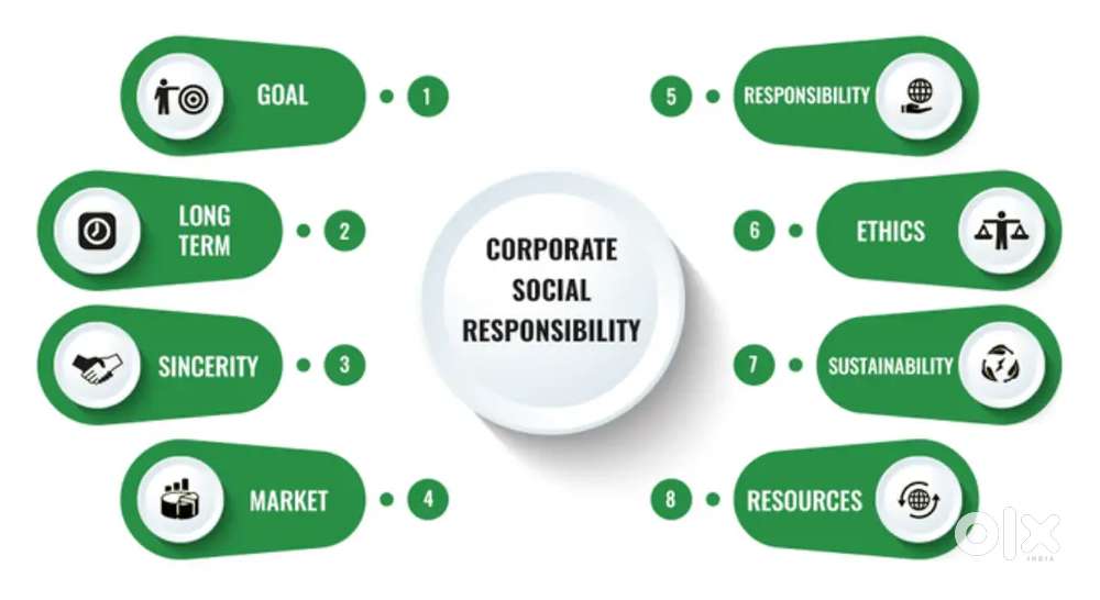 Assistant Programme Director