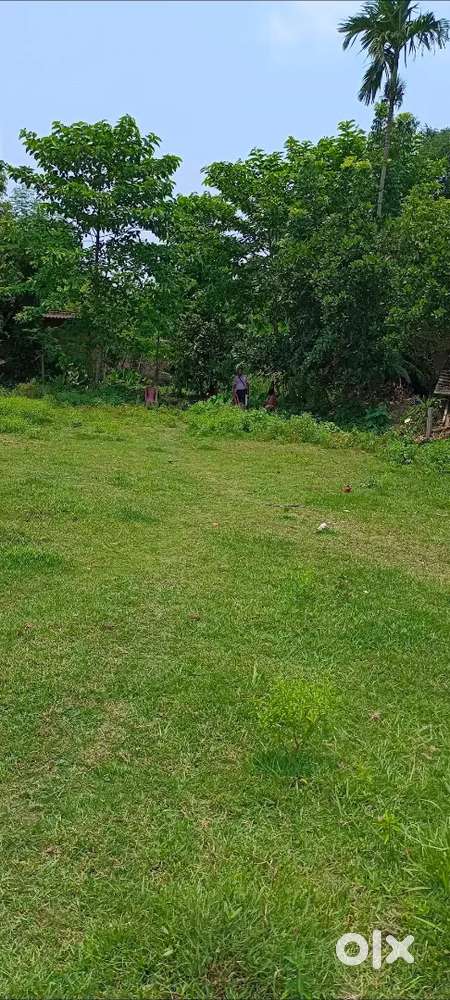A plot area for sale