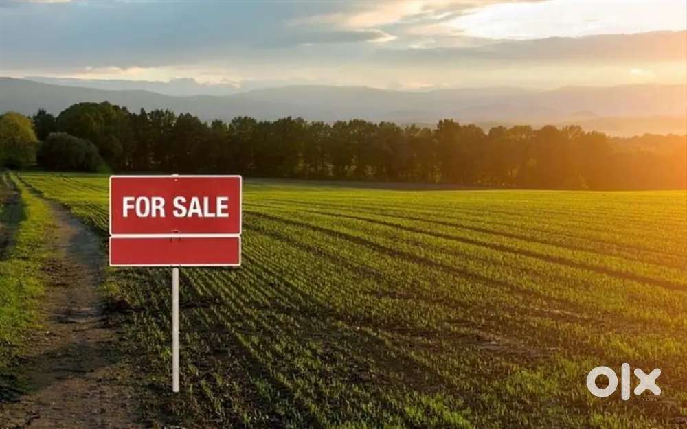Land for sale