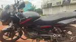 Bajaj palser