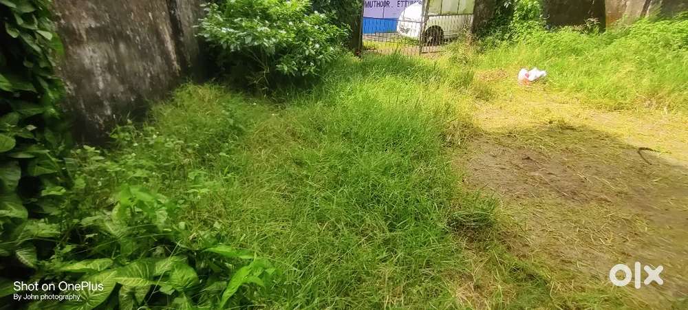 450/H Grass cutting.cutting.80..895mmm495 46.