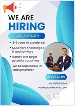 Sales and Marketing Manager - IT