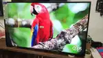 50 4k UHD Android led tv