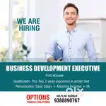 Business Development Executive