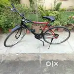 Mountain bike (29 inches)