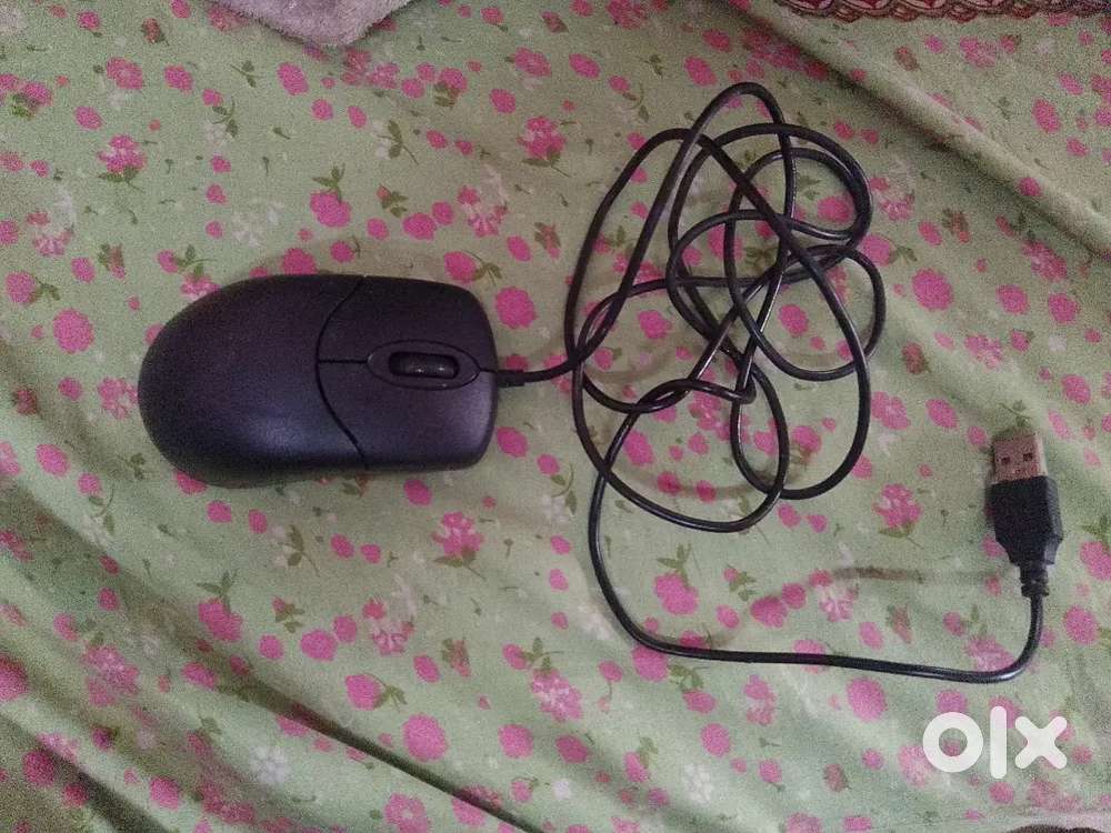 Mouse at ₹80