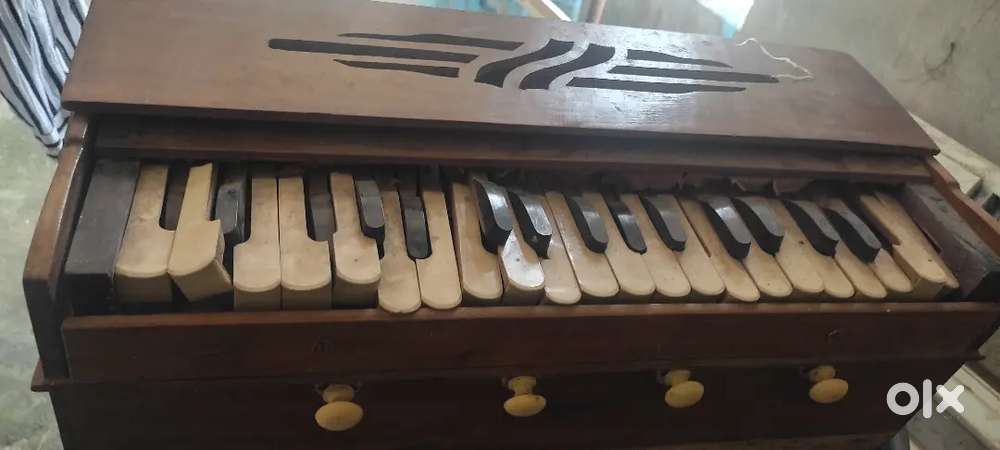 Harmonium single reed