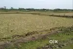 Farming land