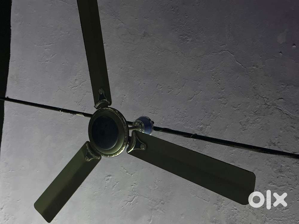 7 Ceiling Fans