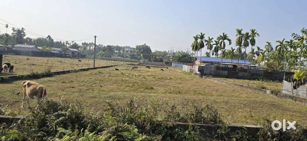 Vale For Money Land & Very Good Place