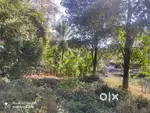 12-Cent Northeast-Facing Plot for Sale in Meppadi, Wayanad