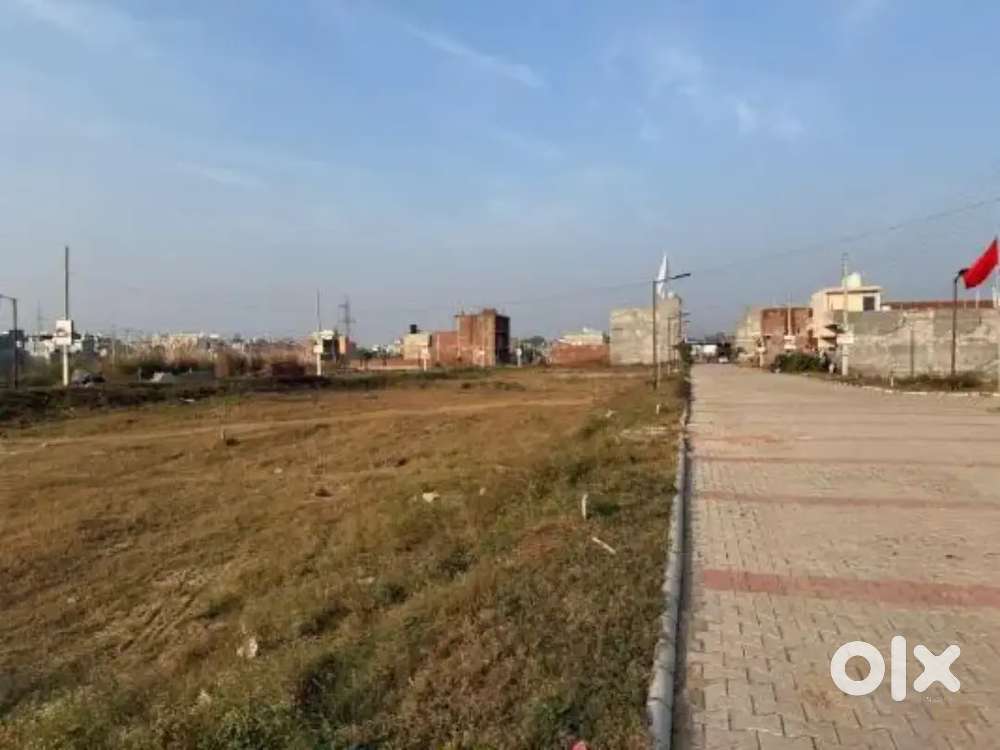 Good location plot on dale