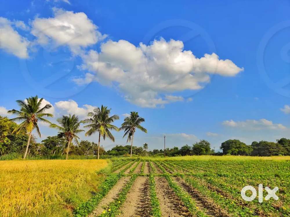 Low Budget Farmland For Sale in Pothanur
