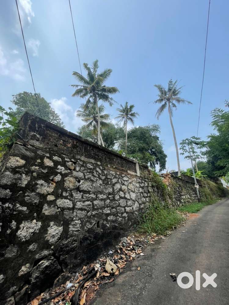 9 cent residential plot for sale