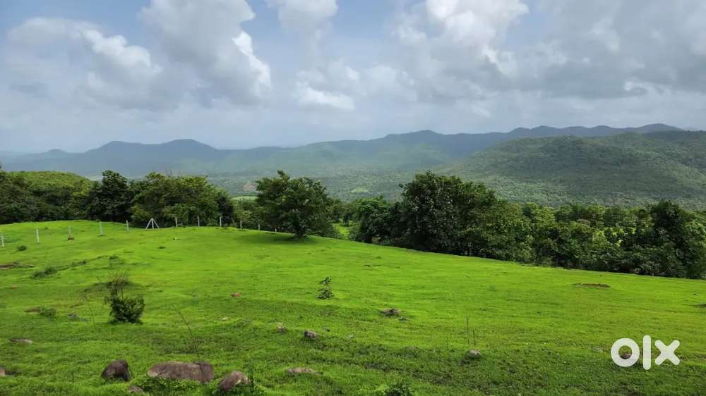 Under construction comercial project of shops n guest house