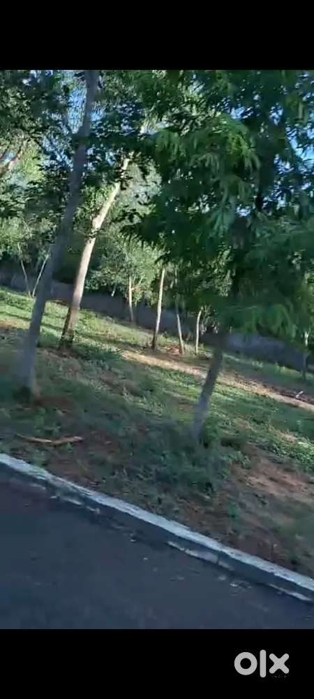 Universal form house