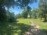 4 kotha land beside NH37 in Kuthari ( Kaziranga), Nagaon, Assam,782136