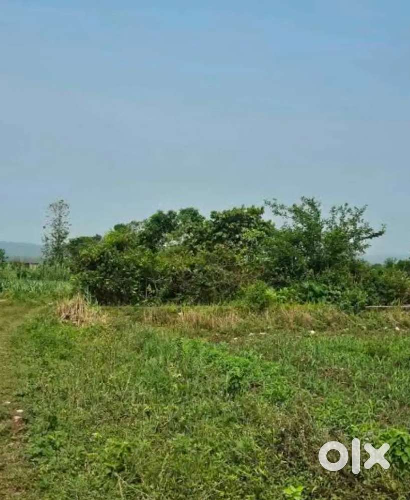 गामछ 5 बिगा जनरल जमीन