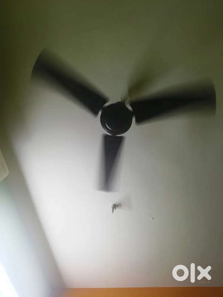 Single ceiling fan only ₹800