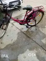 Ladybird BSA Cycle
