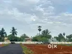 DIRECT OWNER DTCP APPROVED PLOTS FOR URGENT SALE @ THIRUPORUR