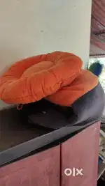 Cat bed for sale