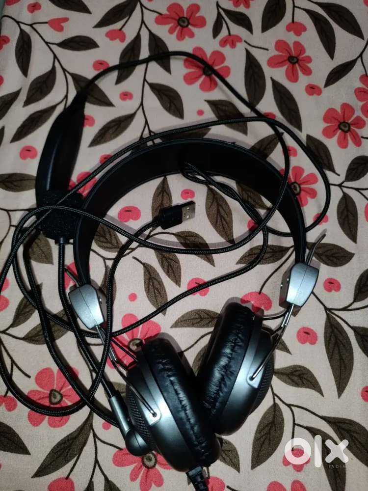 Zebronics wired headphones