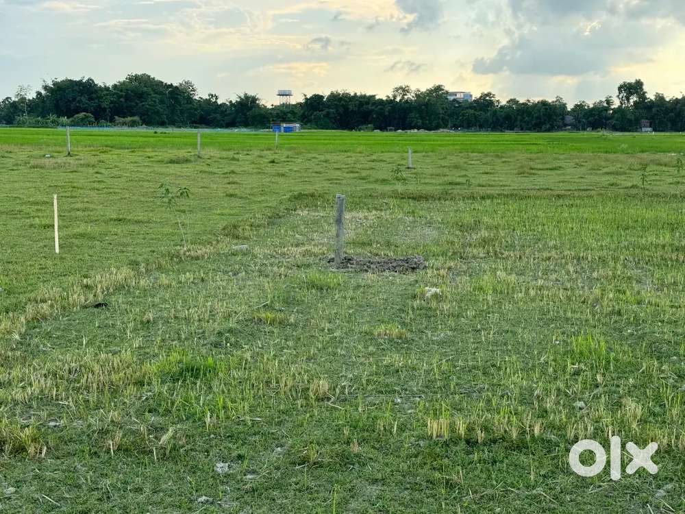 Residential plots for sale in Nalbari.
