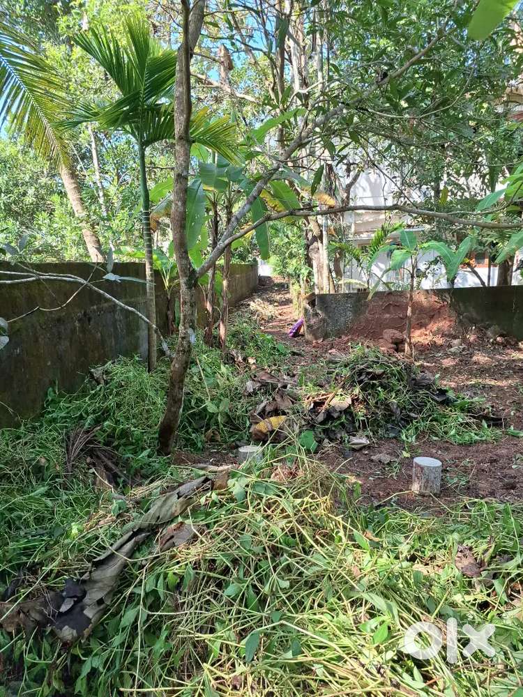 House plot for sale in talap