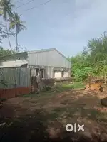 Good enviroment on urban area near pondicherry