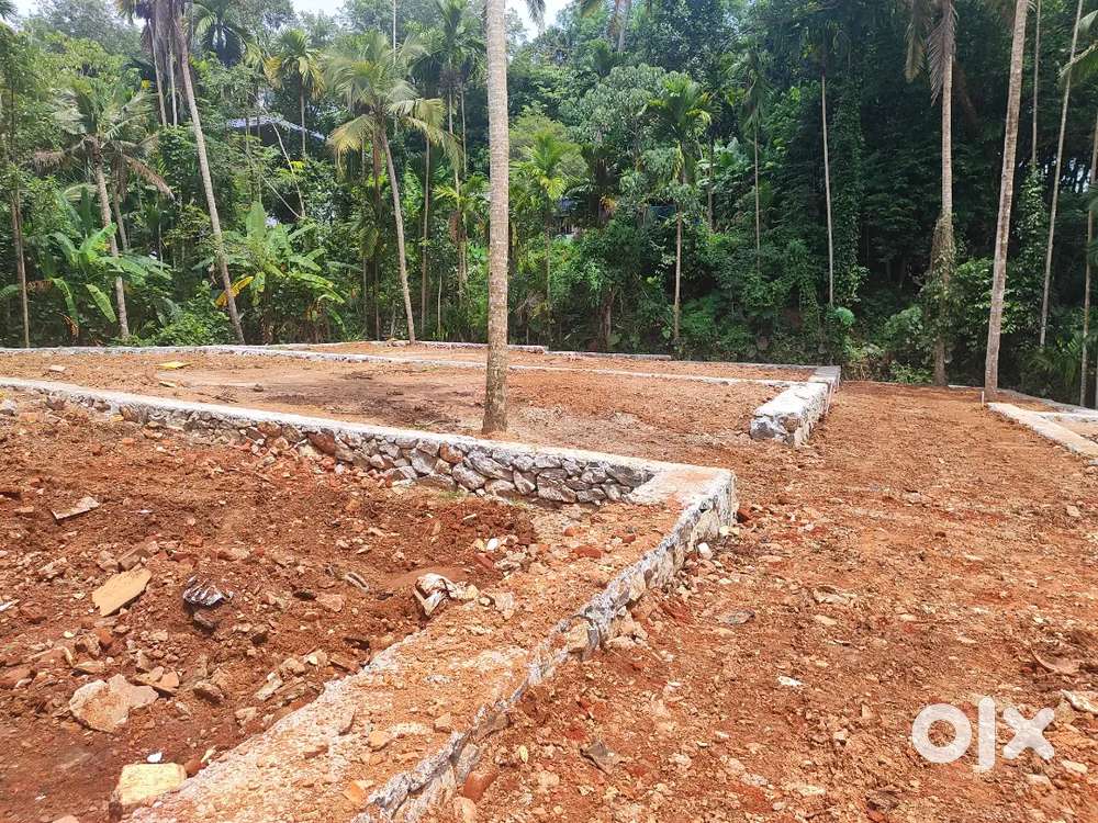 Plot for Sale in kattayikonam