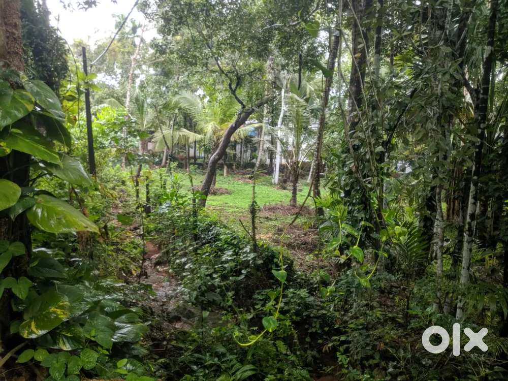 20 cent commercial plot for sale near vengeri by pass