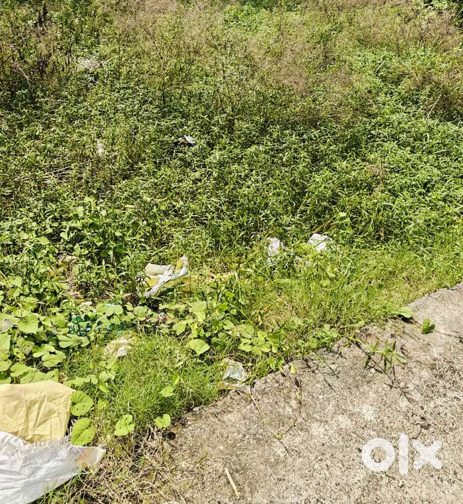 25*55(152 gaj) plot for sale THDC banjarawala 30 ft road  58000 psqyd